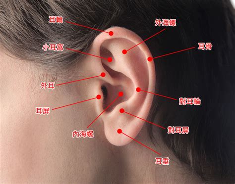 疼痛指數耳洞位置